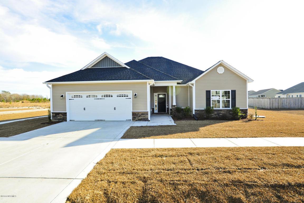 315 Little Egret Lane - Photo 1