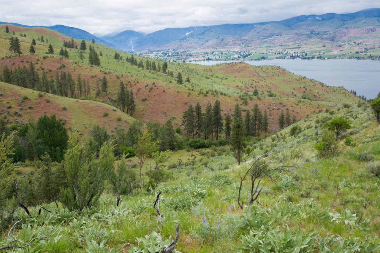 NNA Bear Mountain Ranch Road - Photo 1