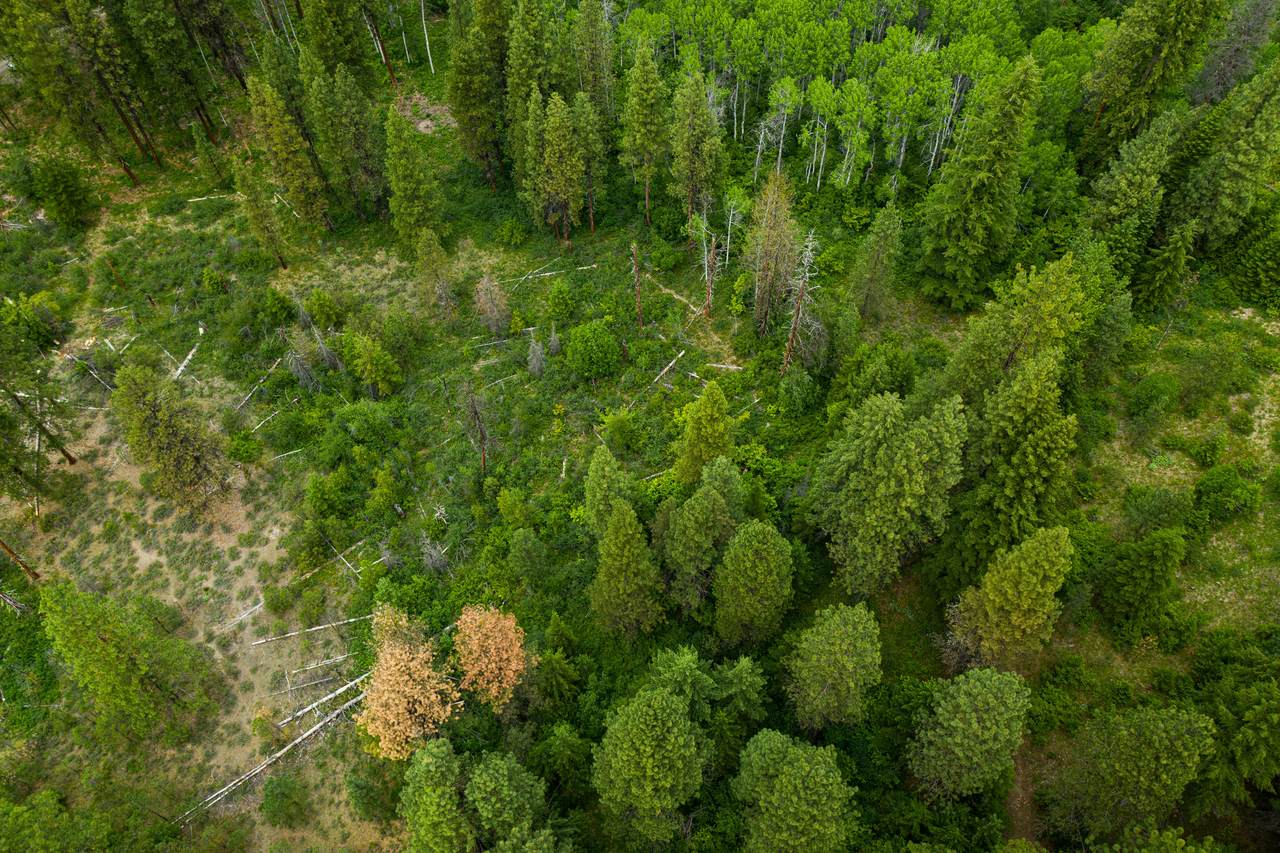NNA Mule Tail Flats Rd - Photo 1