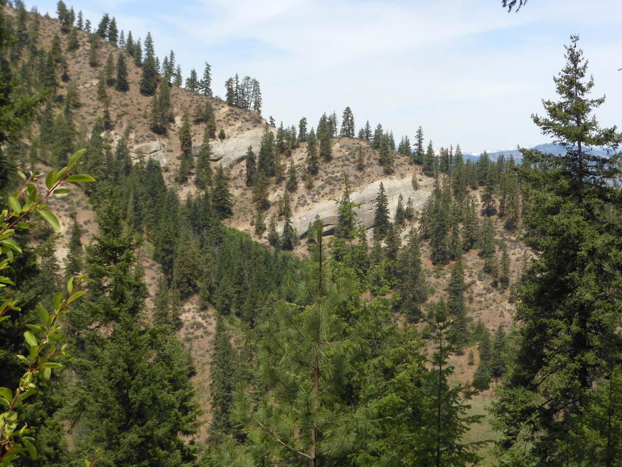 NNA Brisky Canyon Rd - Photo 1