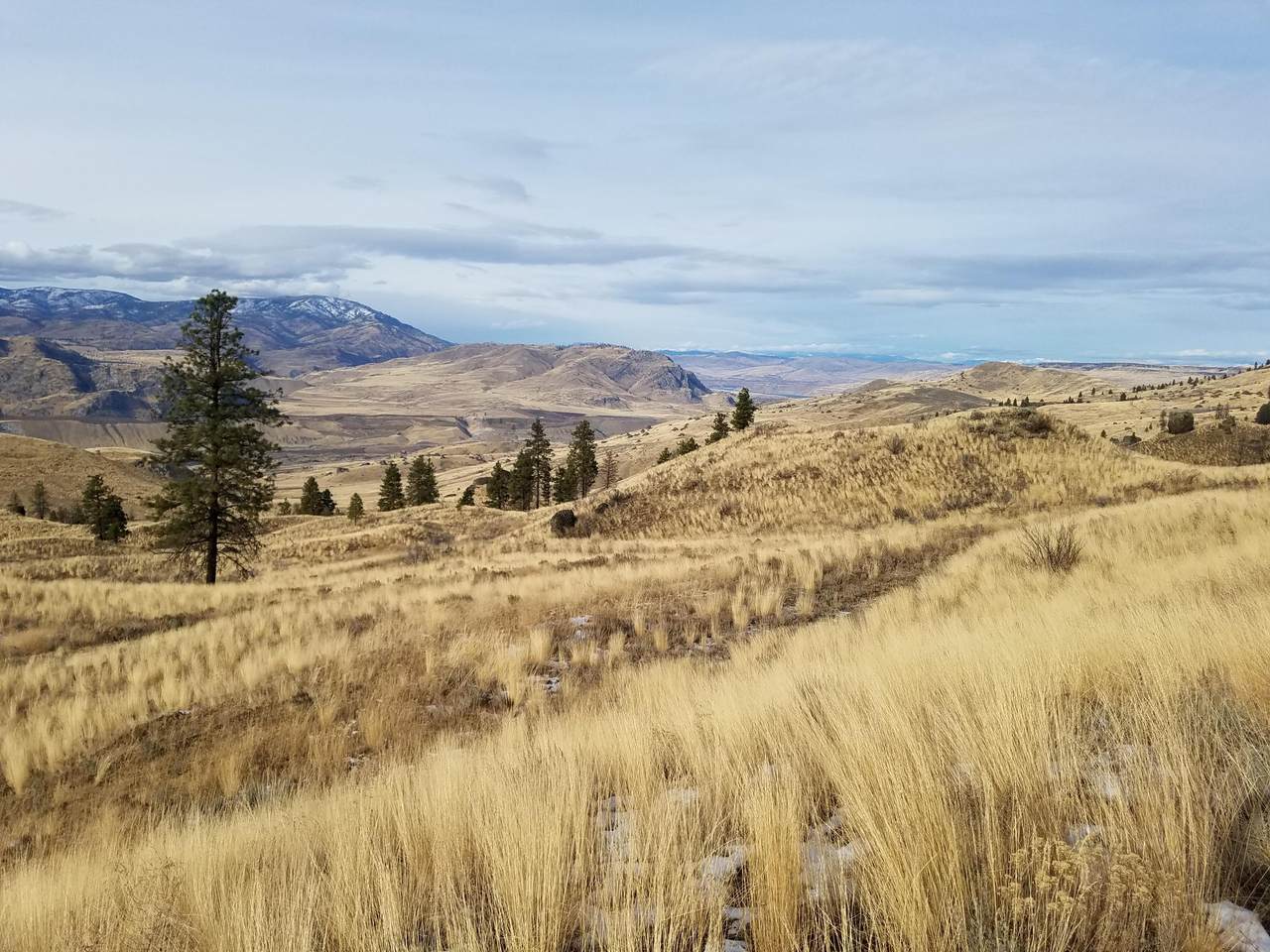 NNA Columbia River Bluffs Rd - Photo 1