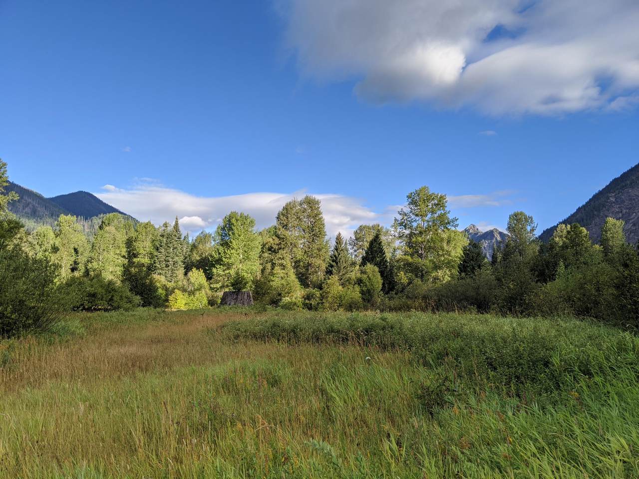 NNA White River Rd - Photo 1