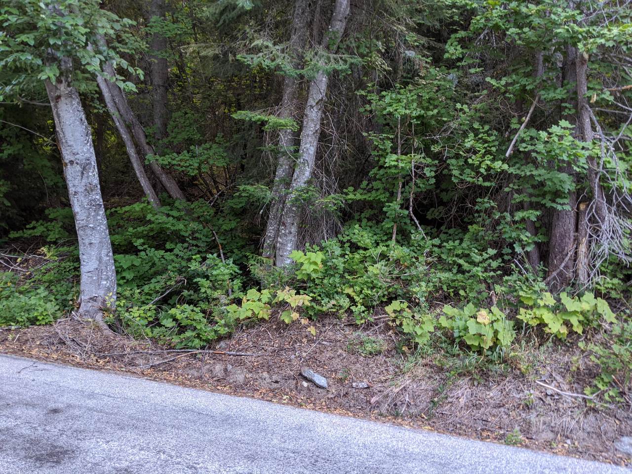 25495 White River Rd - Photo 1