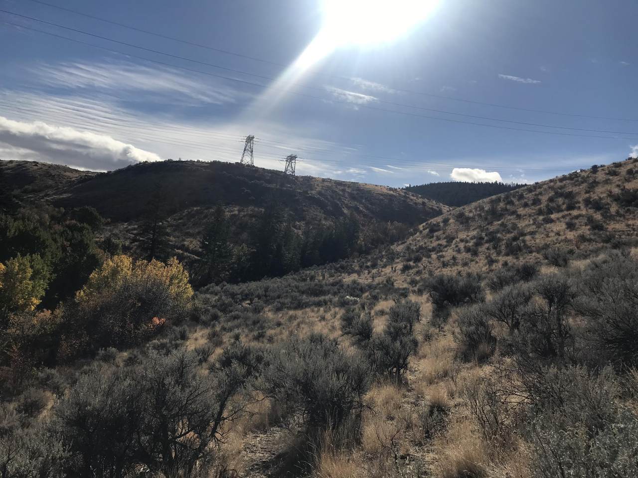 NNA Goldfish Gulch Dr - Photo 1