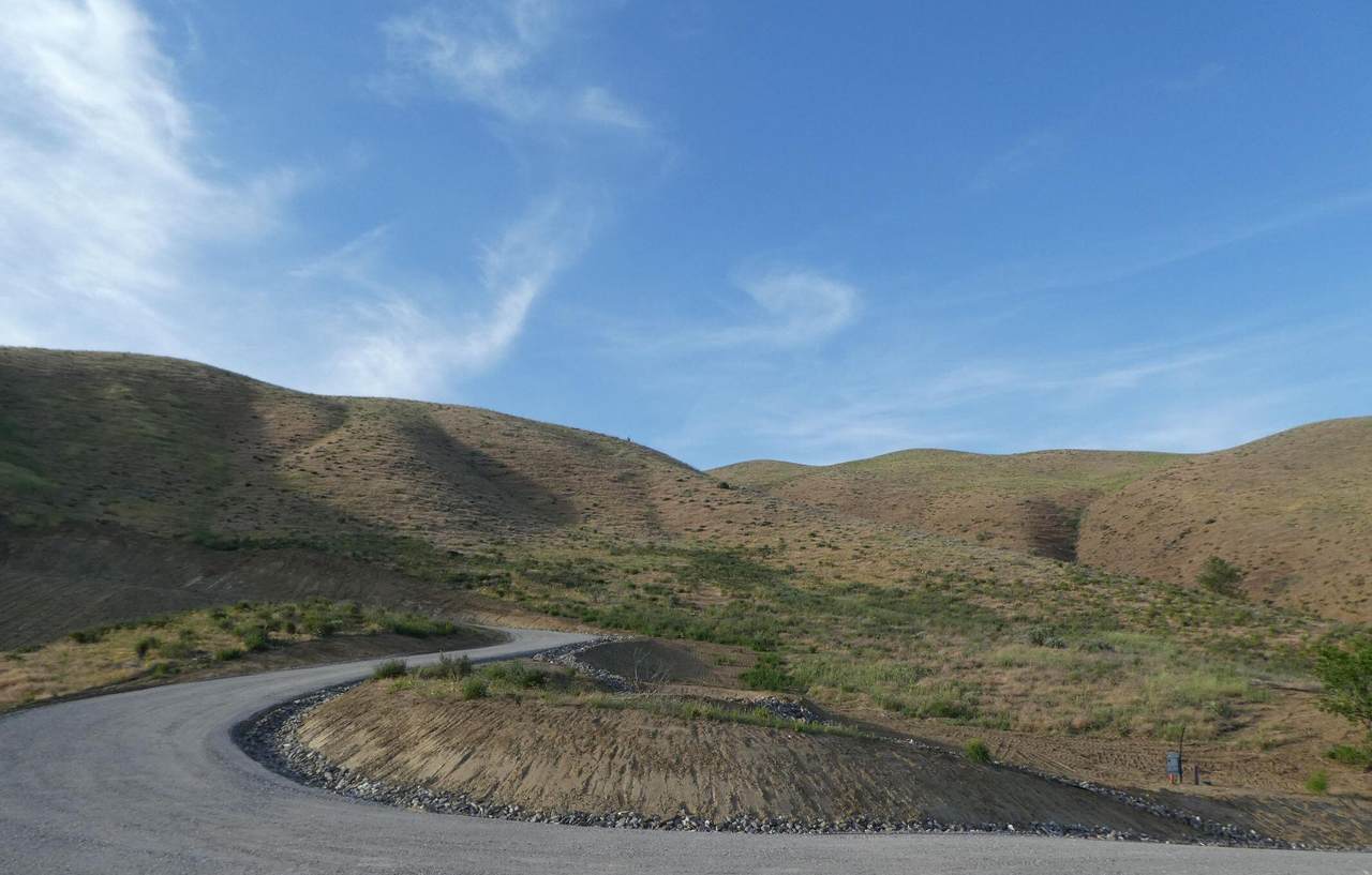360 Diede Hills Ln - Photo 1