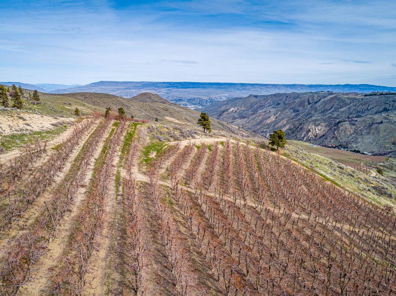 XX Halvorson Canyon Rd - Photo 1