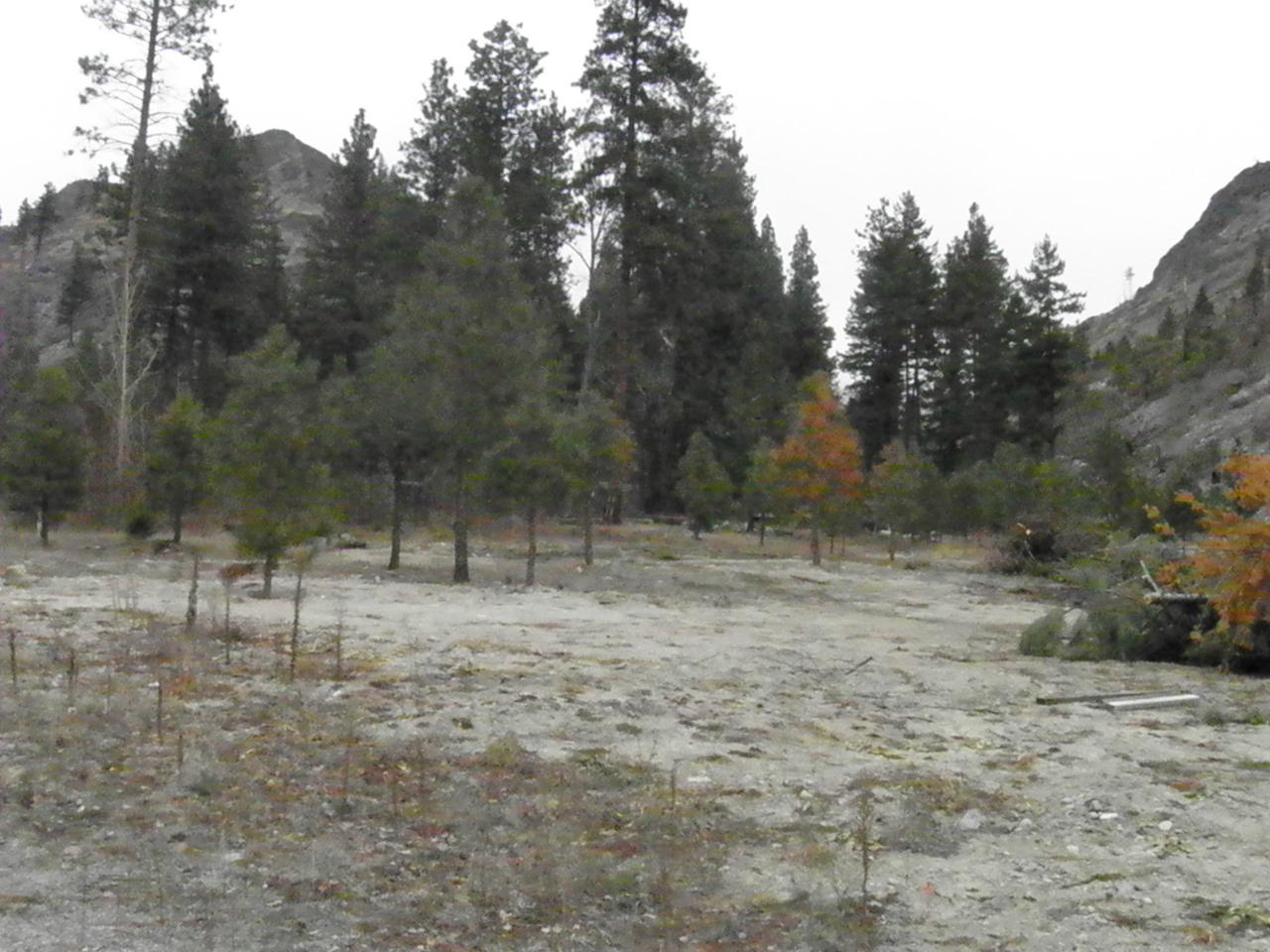 Parcel E Entiat River Rd Rd - Photo 1