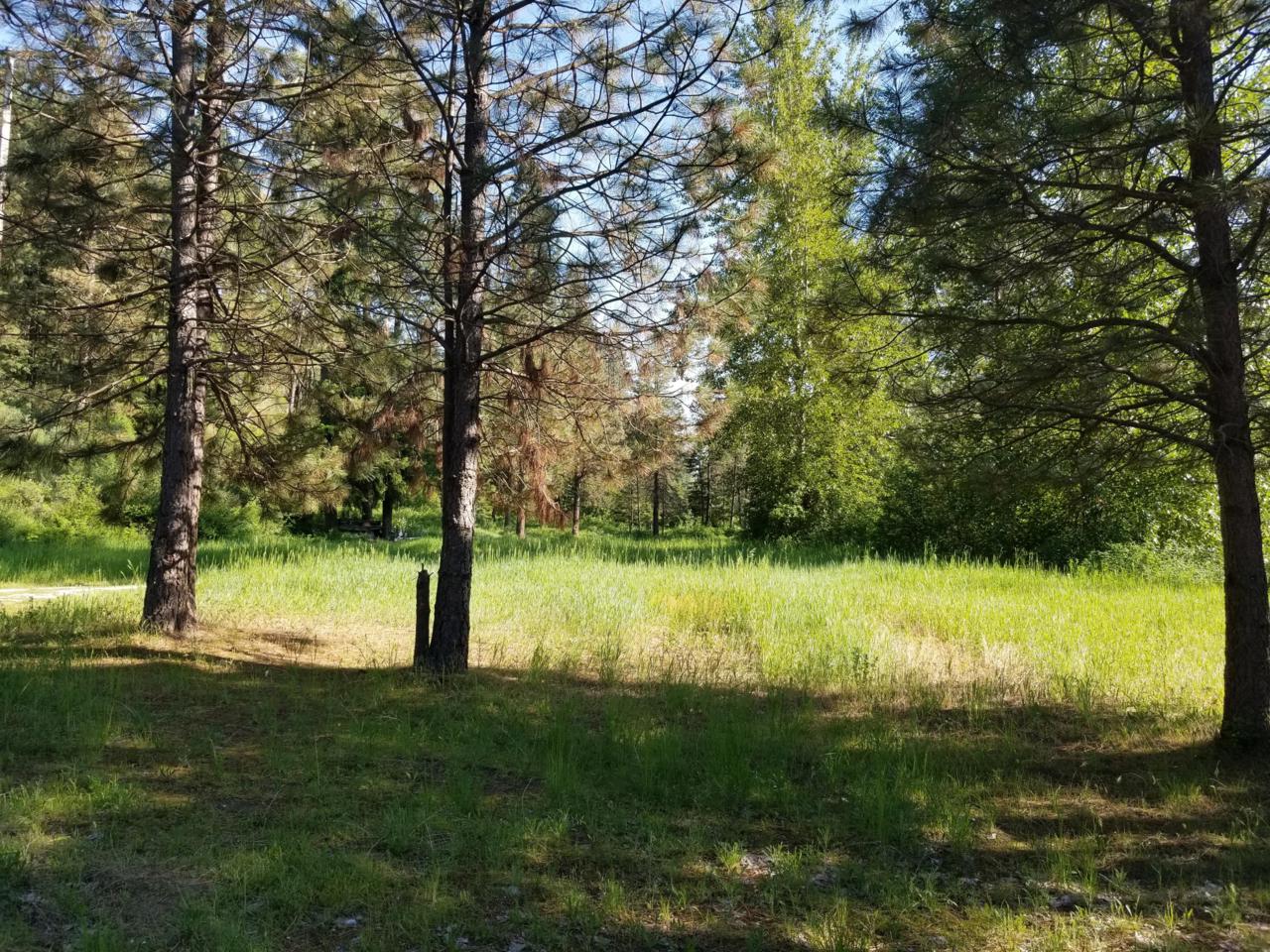 NNA Chumstick Hwy - Photo 1