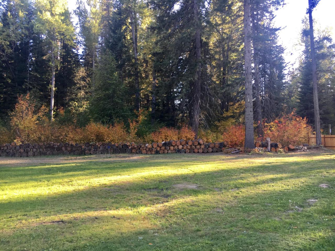 14185 Brae Burn Rd - Photo 1