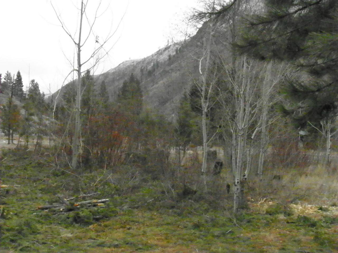 Parcel D Entiat River Rd - Photo 1