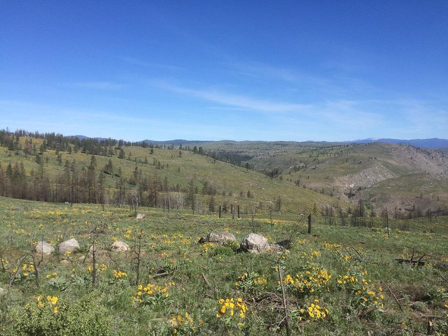 Lot 53 E. Mountain Point - Photo 1