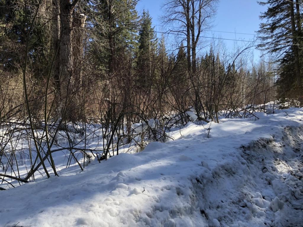 13863 Brae Burn Rd - Photo 1