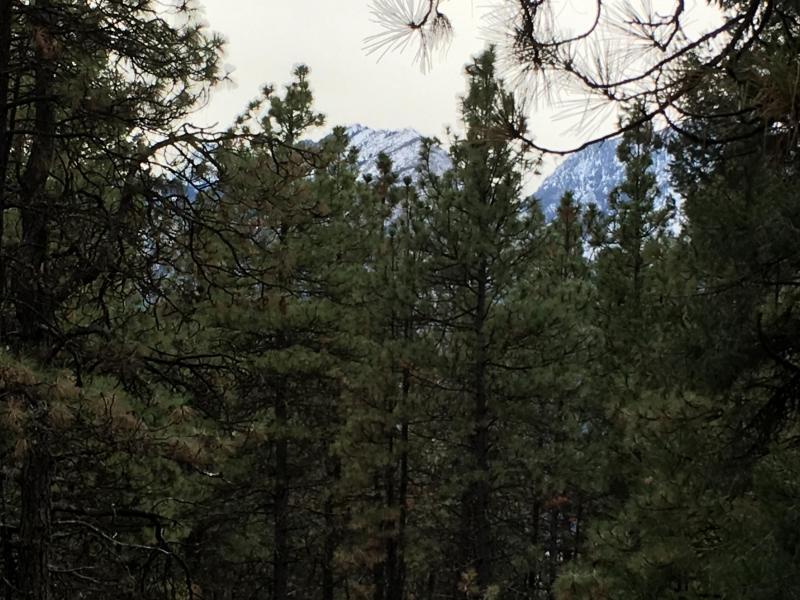NNA Mountain Home Rd - Photo 1