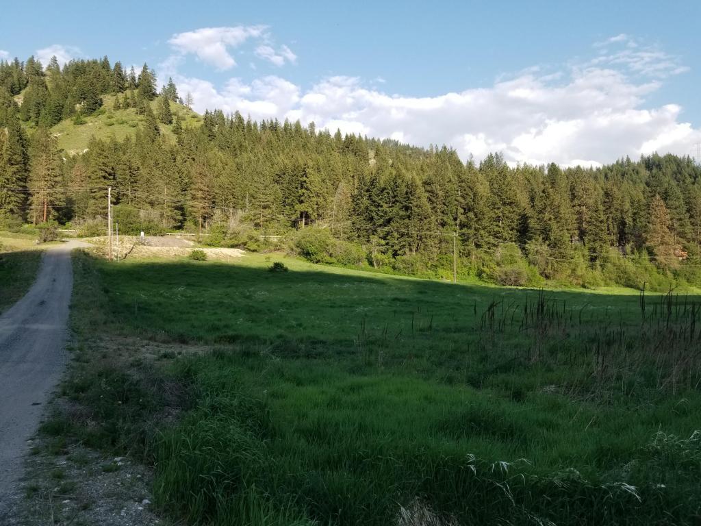 17384 Chumstick Hwy - Photo 1