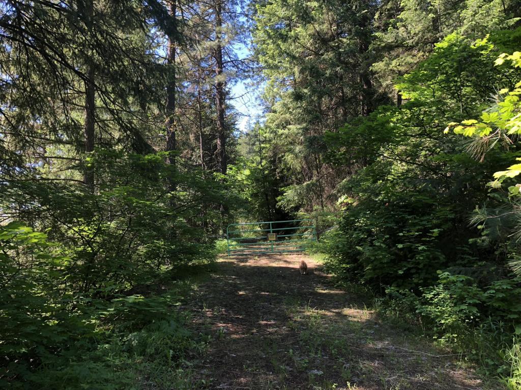 15090 Martin Christensen Dr - Photo 1