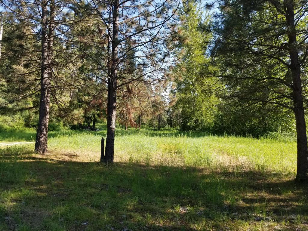 NNA Chumstick Hwy - Photo 1