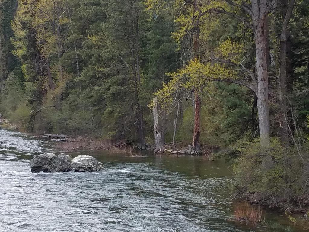 NNA River Road - Photo 1