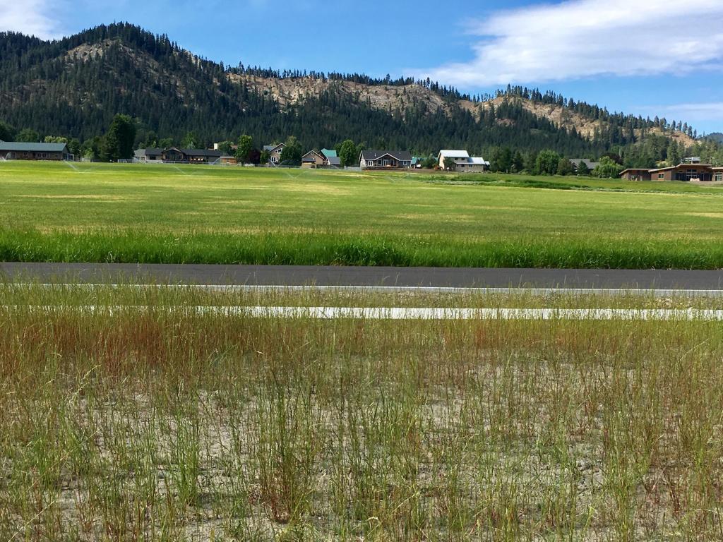 Lot 17 Pinegrass St - Photo 1