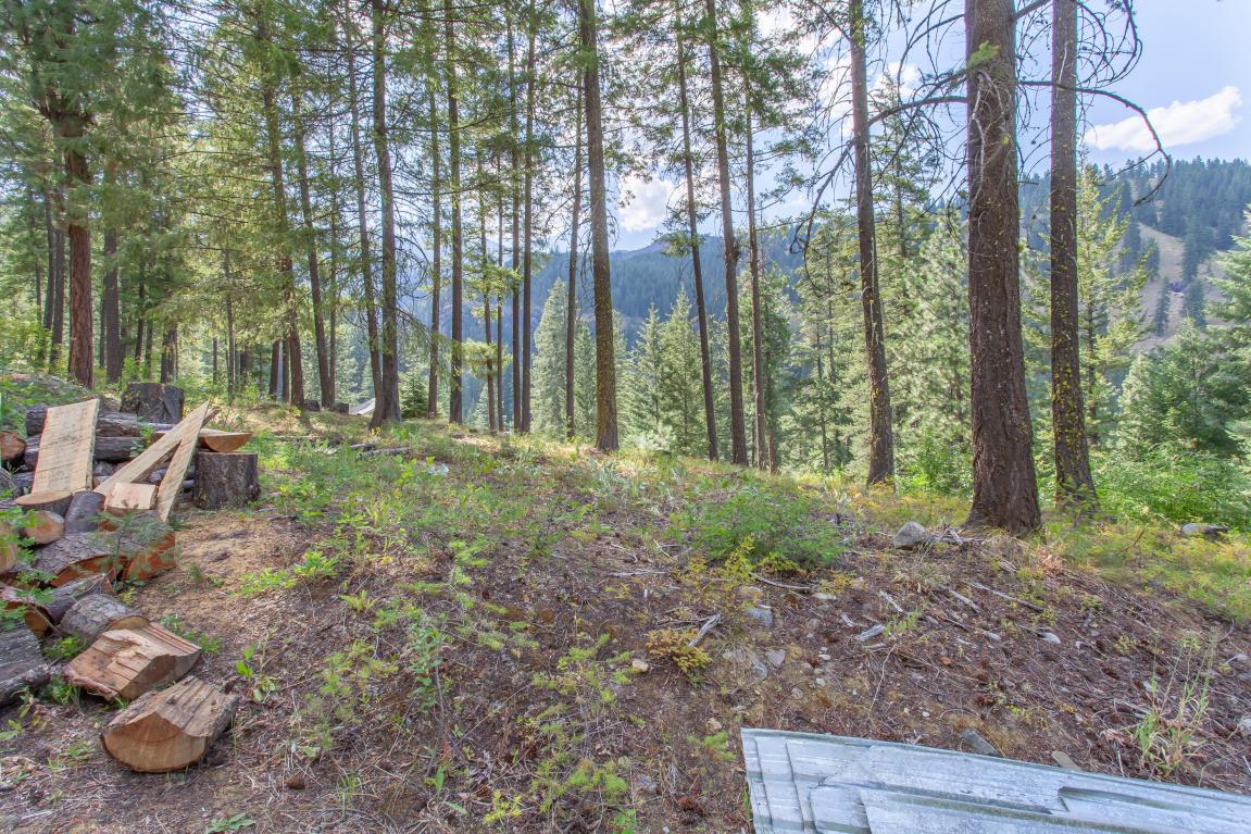 3859 Old Blewett Rd - Photo 1