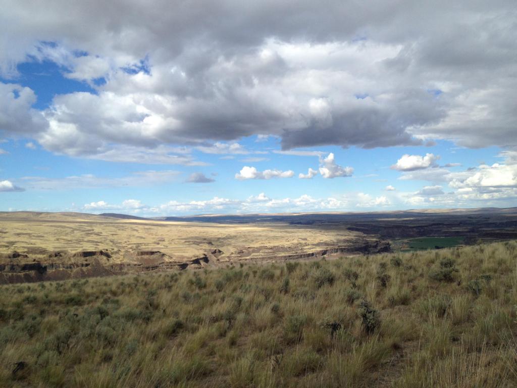 NNA Palisades Rd - Photo 1