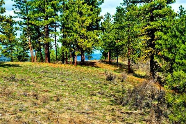 Lot 32 Cottontail Ln - Photo 1