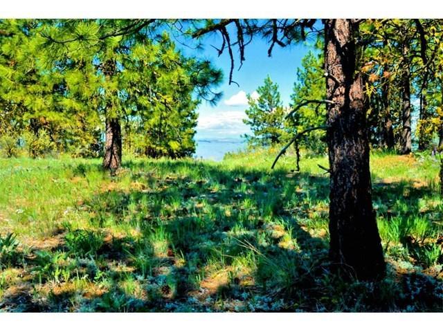 Lot 30 Cottontail Ln - Photo 1
