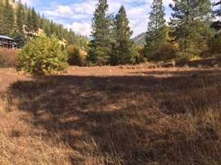 9995 Eagle Creek Rd - Photo 1