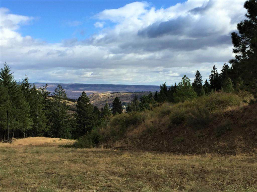 NNA Squilchuck - Photo 1