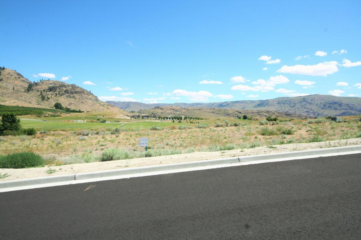 424 Spring View Pl - Photo 1