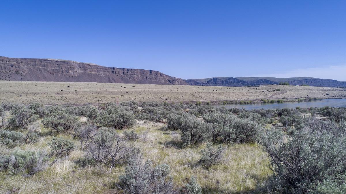 Lot 18 Colockum Rd - Photo 1