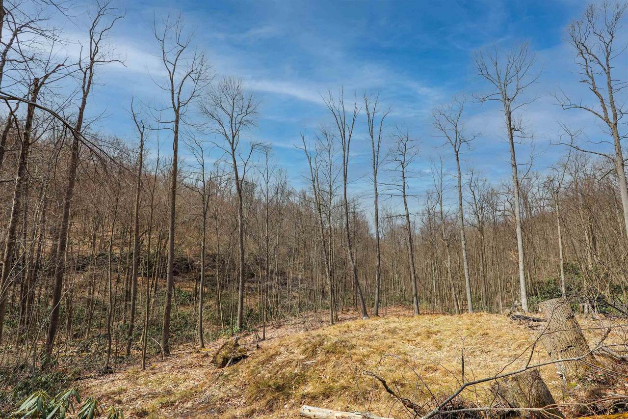 Lot 21 Snake Hill Road - Photo 1
