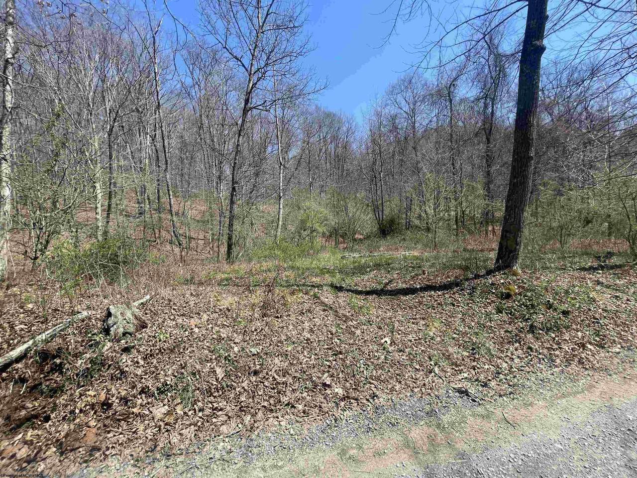TBD Sycamore Run Road - Photo 1