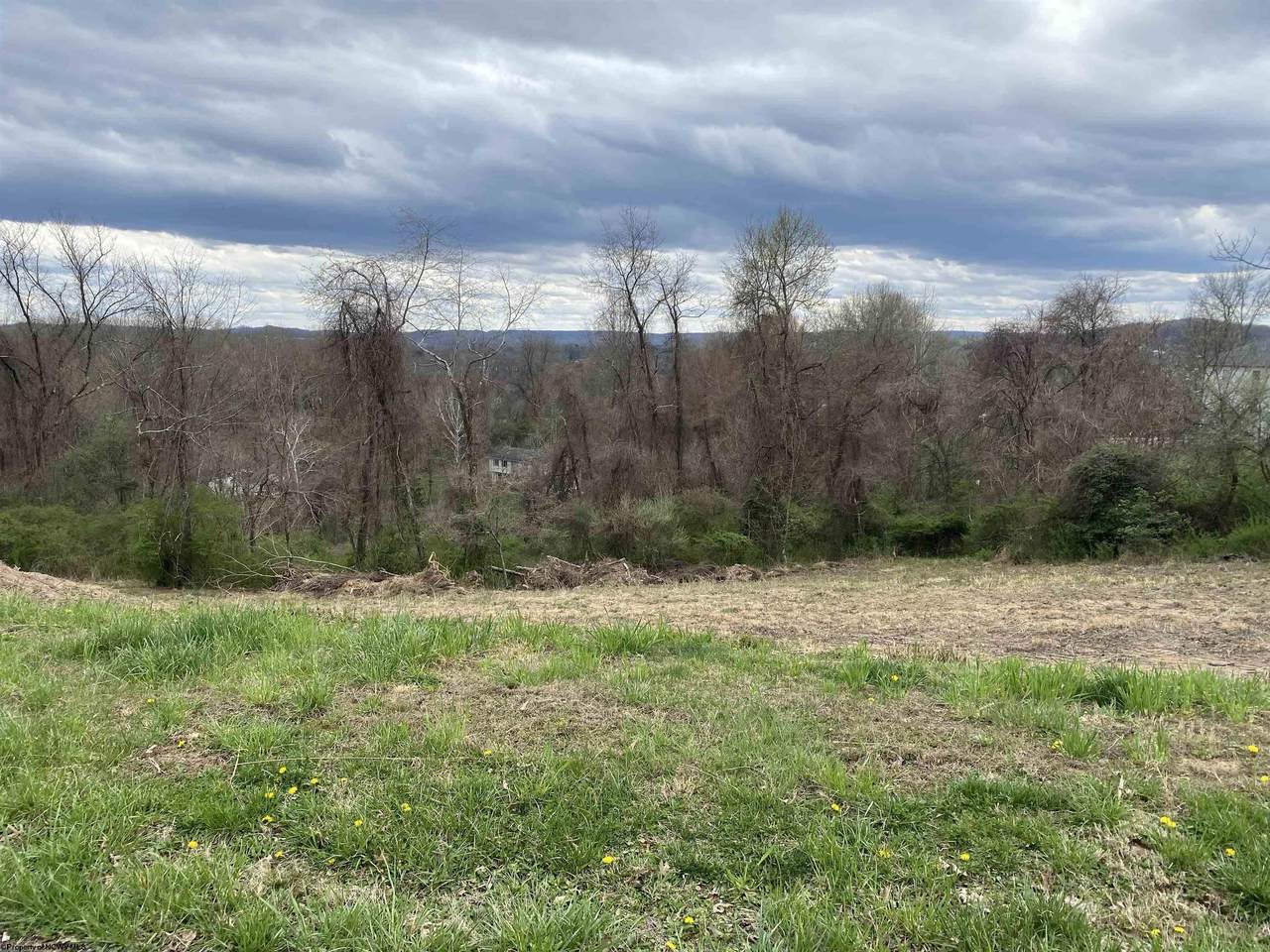 LOT 15 Cherry Hill Estates - Photo 1