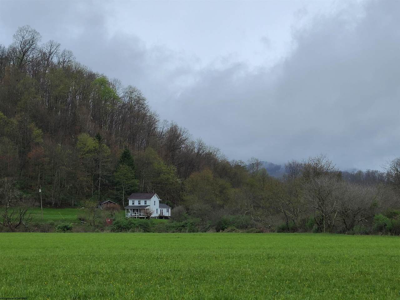 482 Israel Church Road - Photo 1