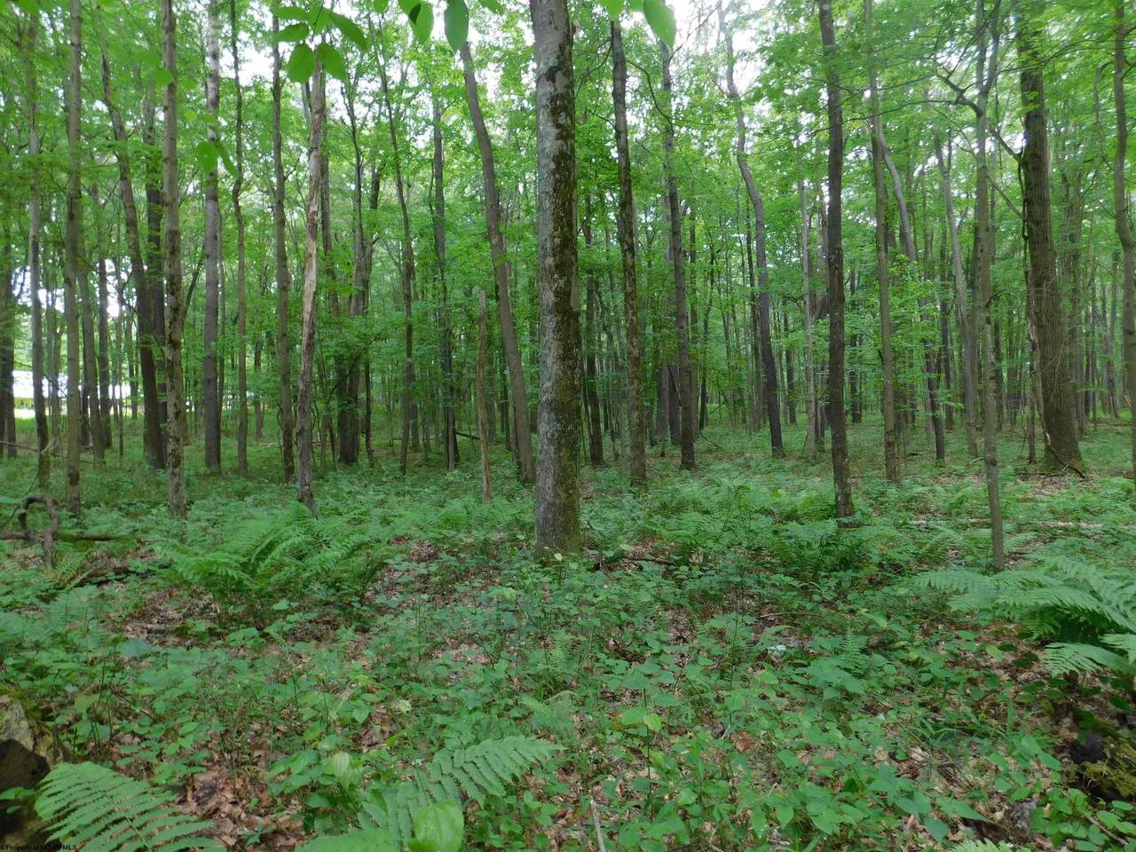 Lot 21 Galilee Road - Photo 1