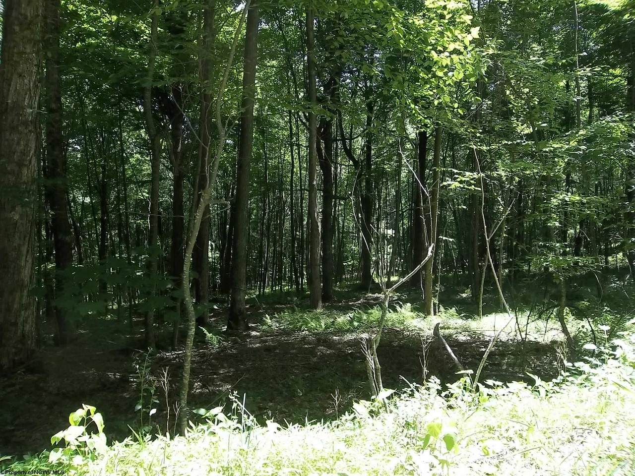TBD Skyview Drive - Photo 1