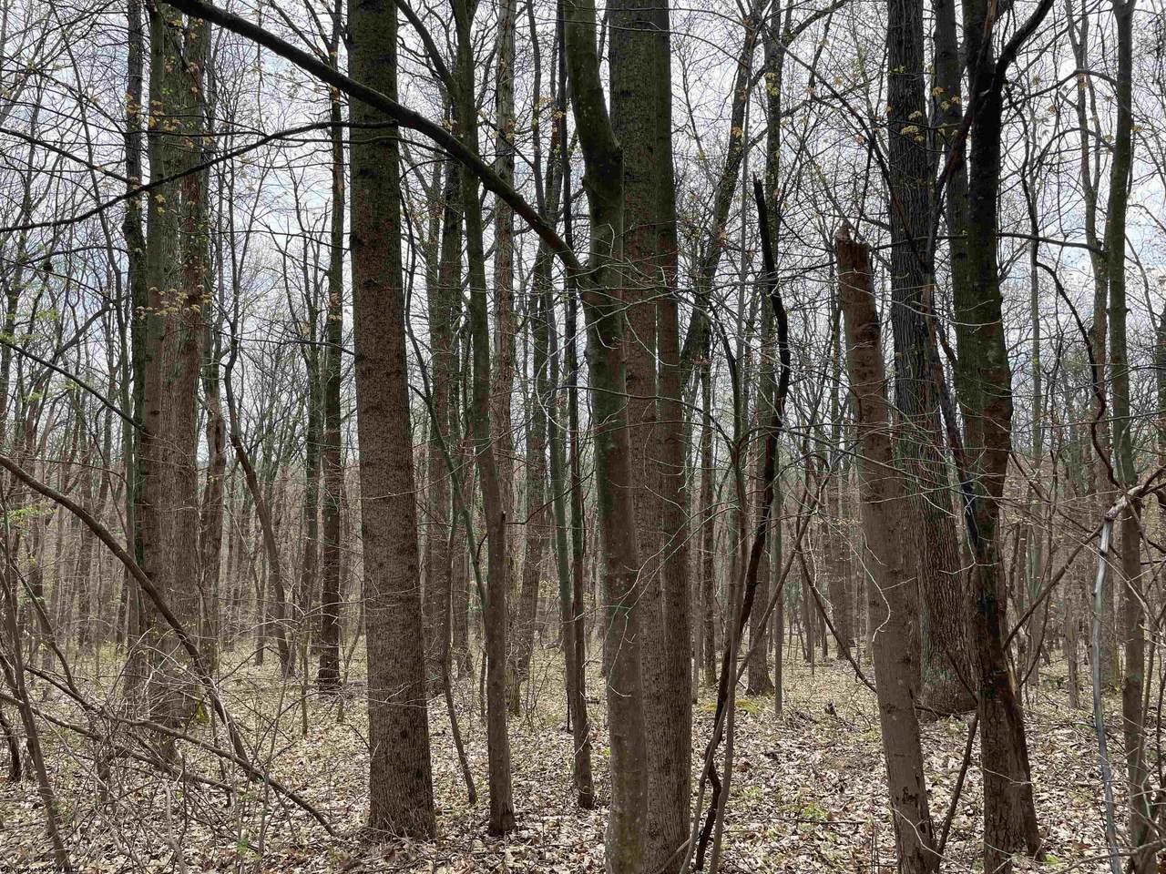Lot 13 Hobbits Glenn Estates - Photo 1