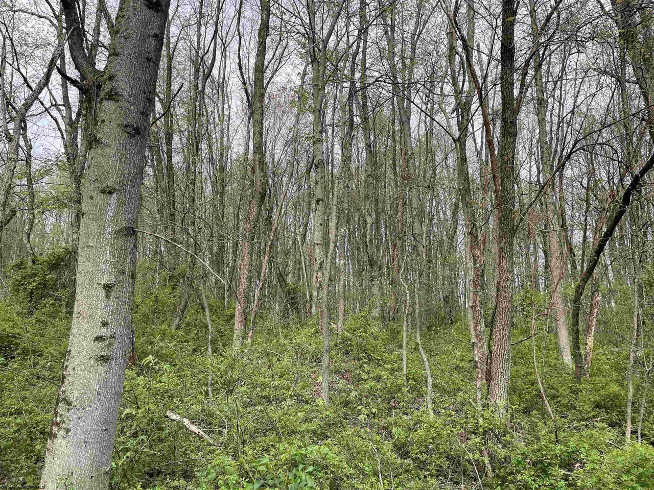 Lot 28 Hobbits Glenn Estates - Photo 1