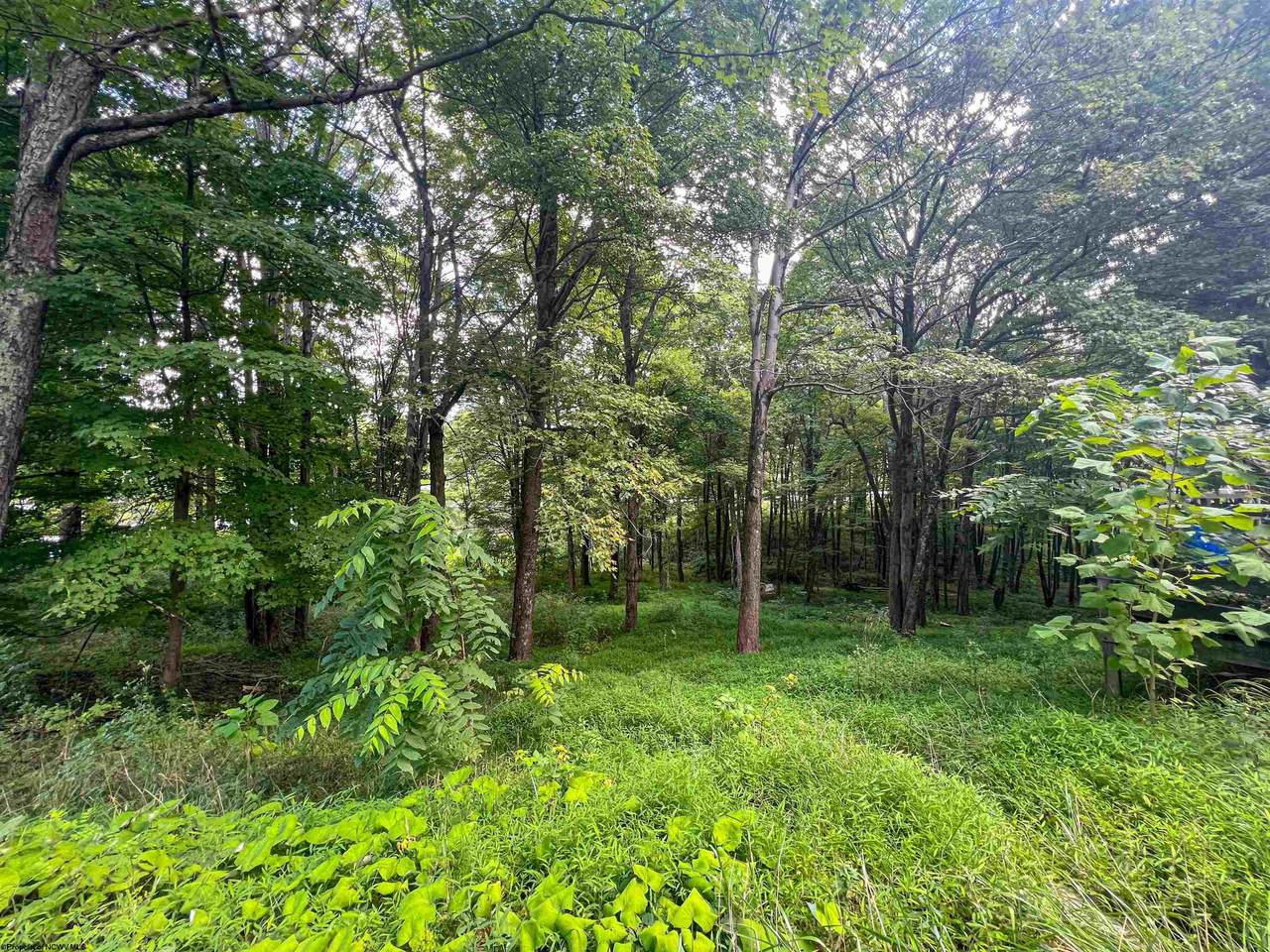 31 Gum Springs Road - Photo 1