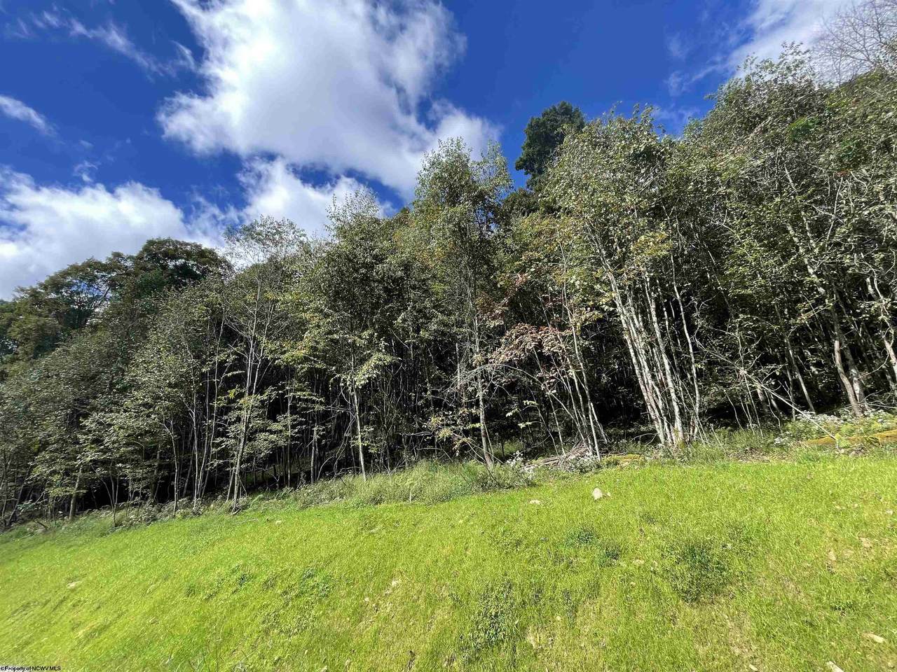 Lot 77B Whitewater Preserve Road - Photo 1
