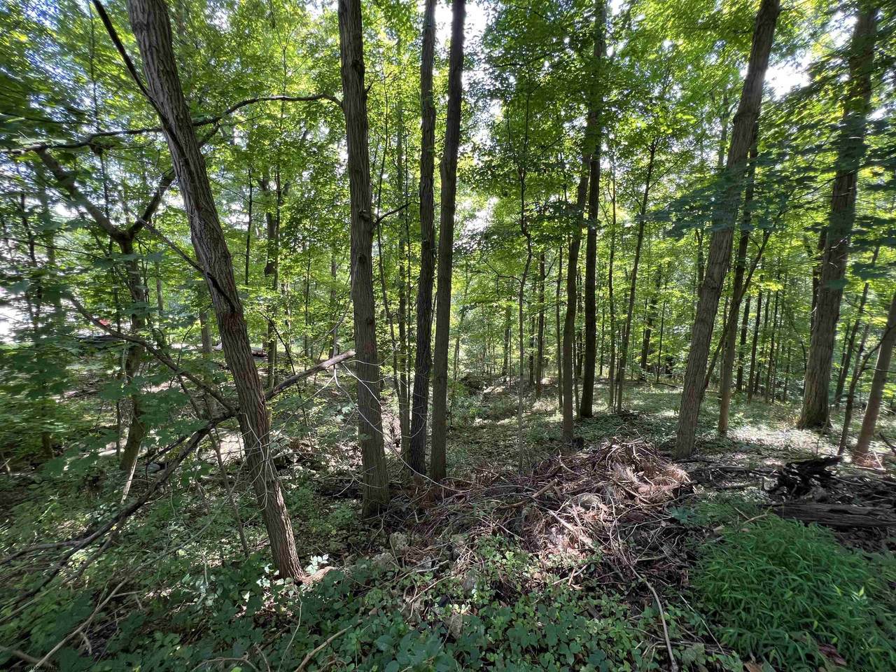 Lot 20 Southpoint Circle - Photo 1