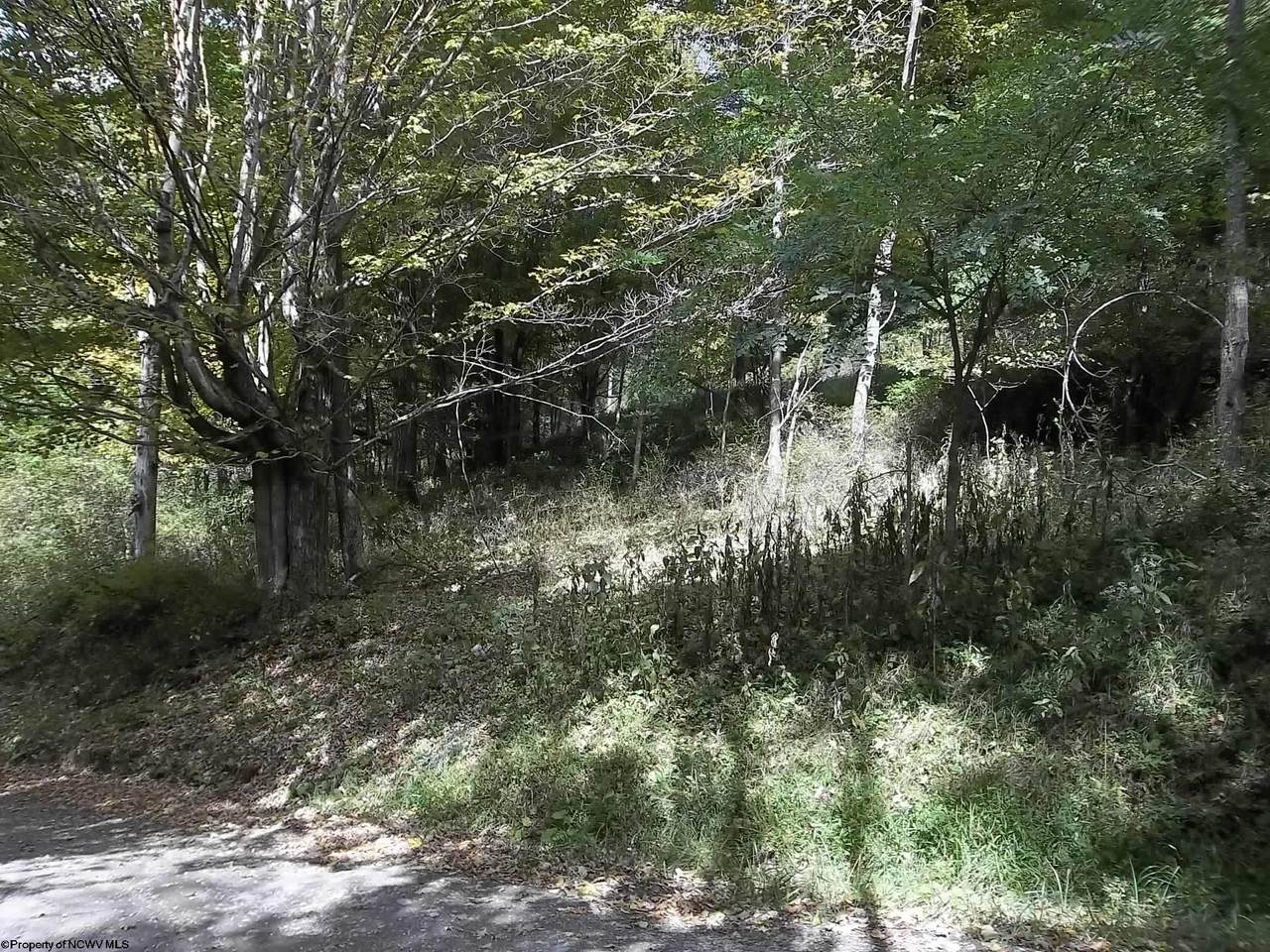 Lot 3 High Mountain Road - Photo 1