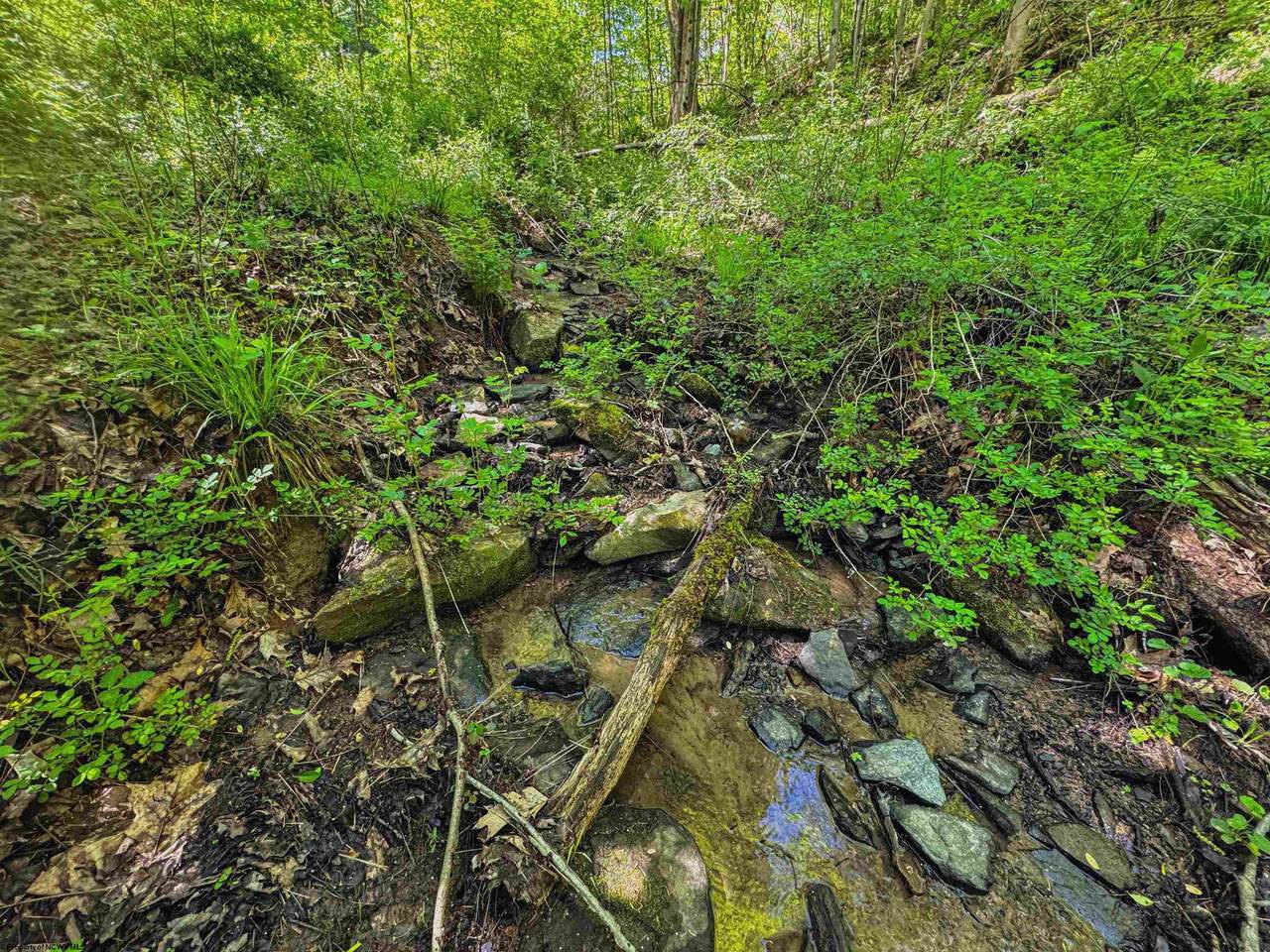 https://bt-photos.global.ssl.fastly.net/ncwv/1280_boomver_1_10158052-2.jpg