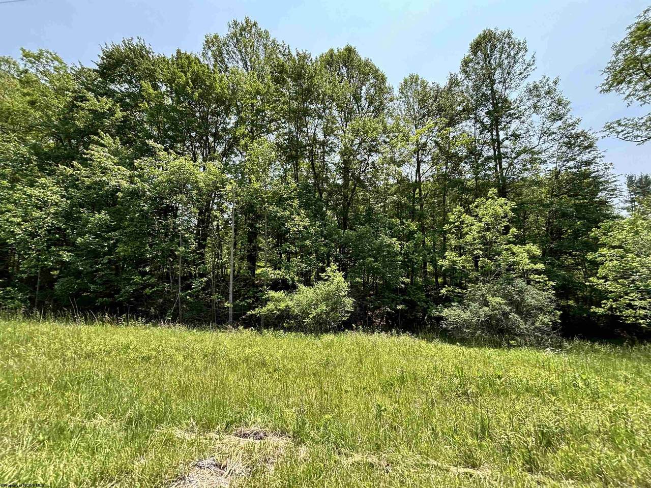 00 Barbour County Highway - Photo 1