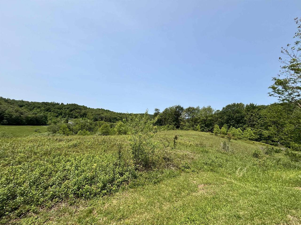 LOT 5 Overlook Drive - Photo 1