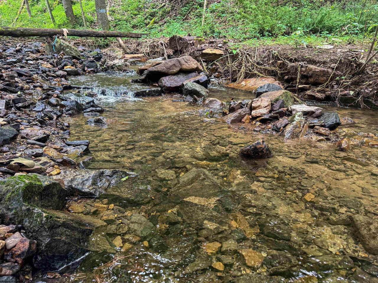 TBD Laurel Dale Road - Photo 1