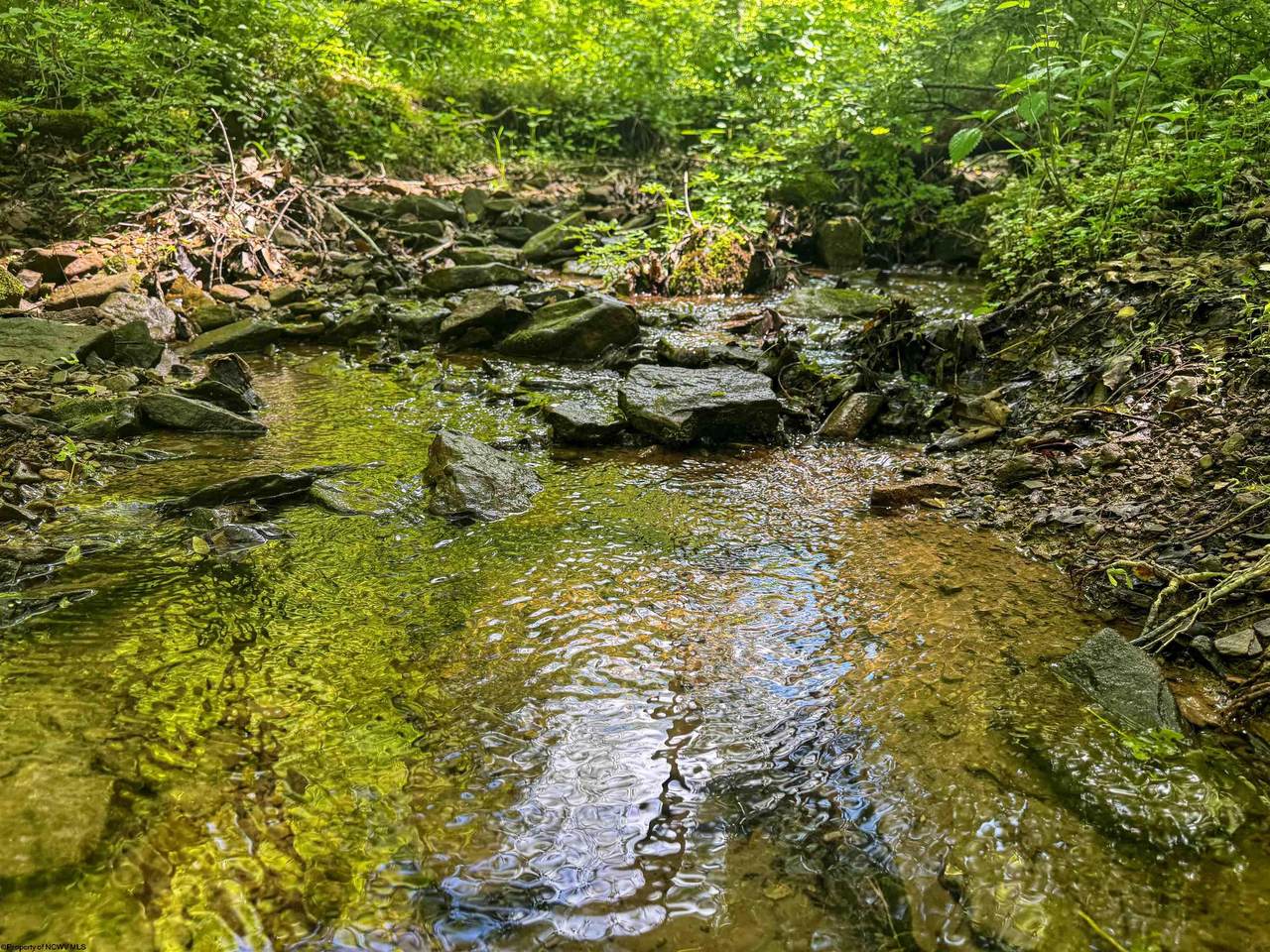 TBD Rush Run Road - Photo 1