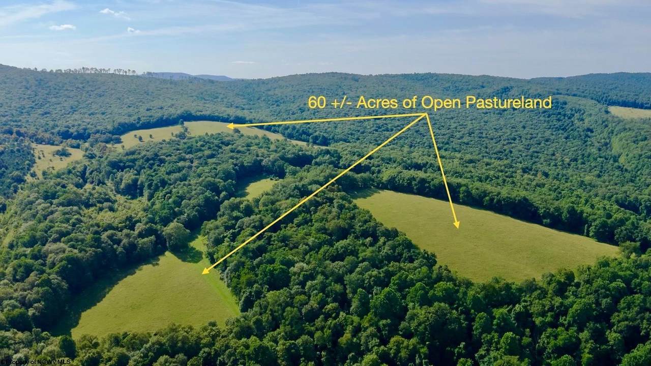 TBD Chidester Road - Photo 1