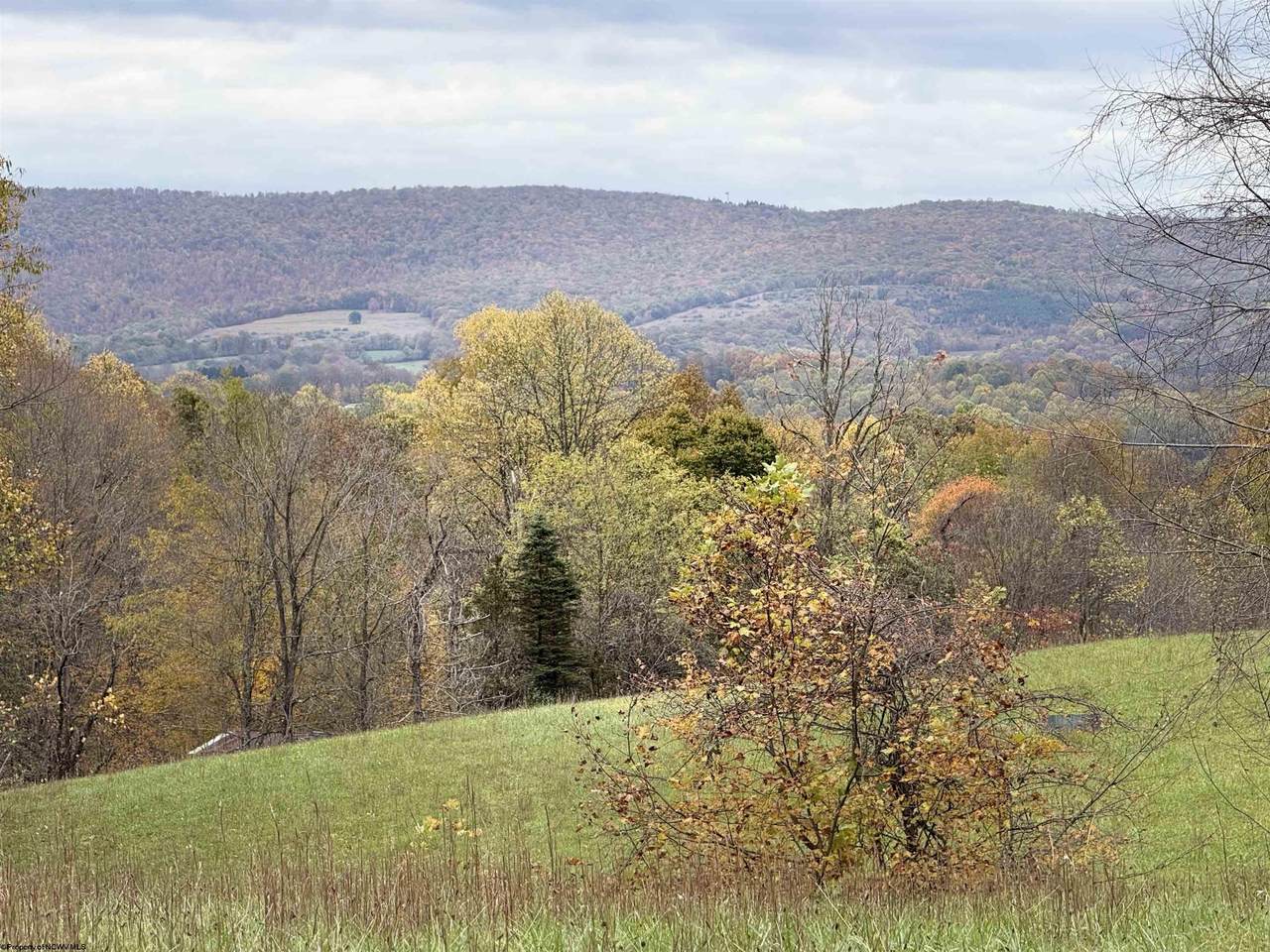 0 Riggins Road - Photo 1