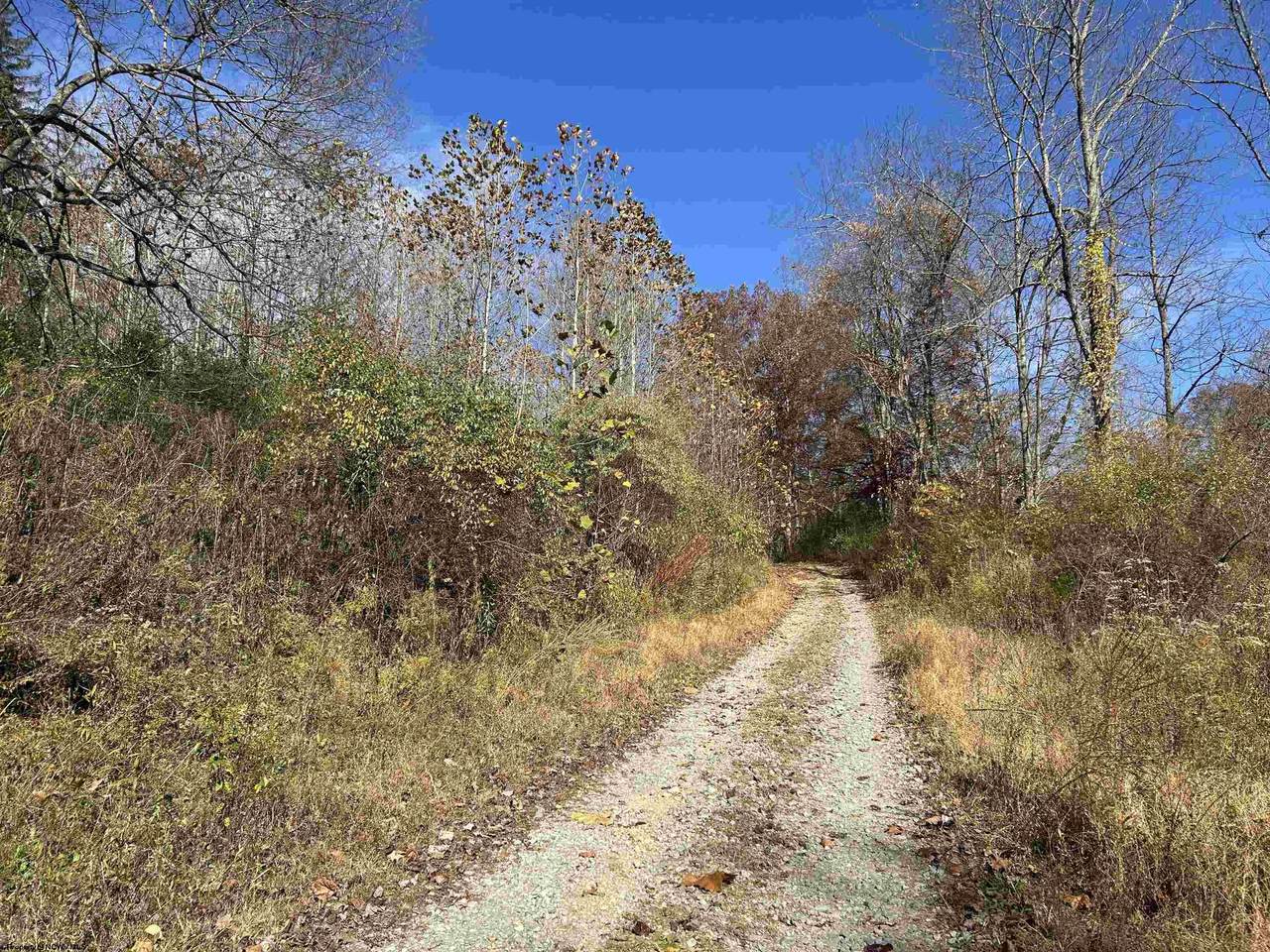 TBD Pyles Avenue - Photo 1